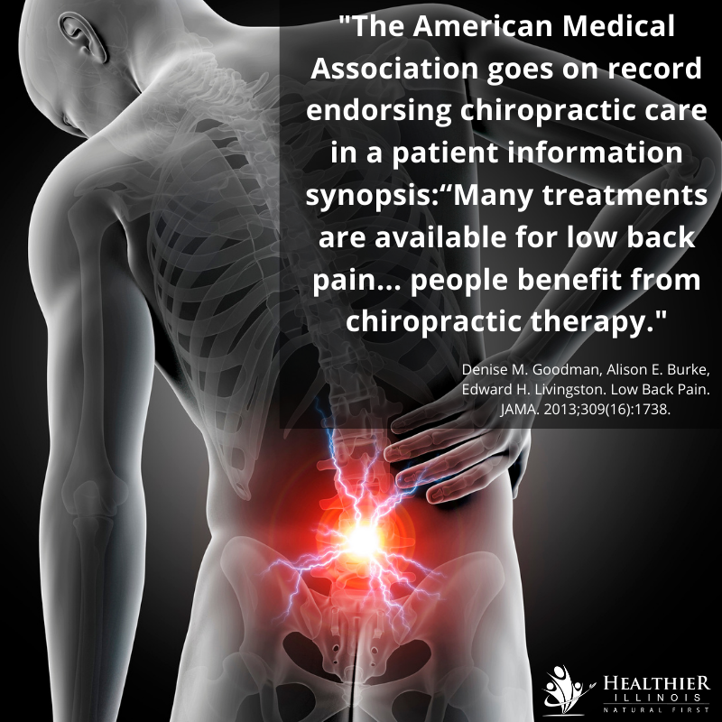 American Medical Association chiropractic