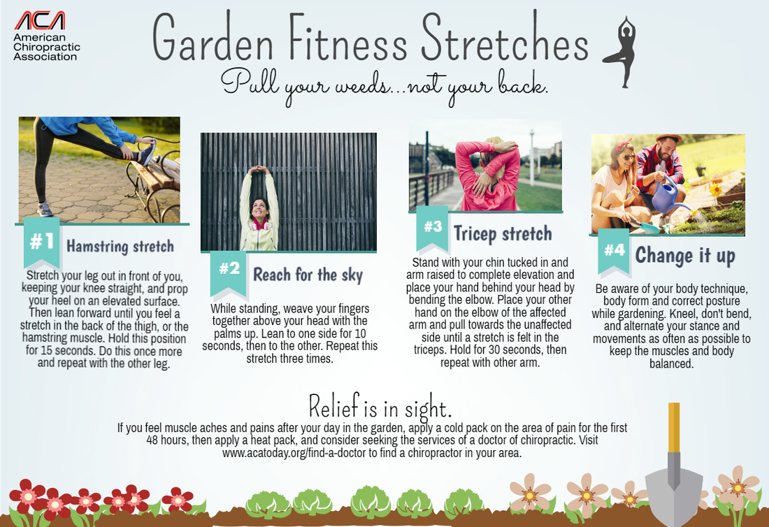 Gardening tips from a Peoria chiropractor